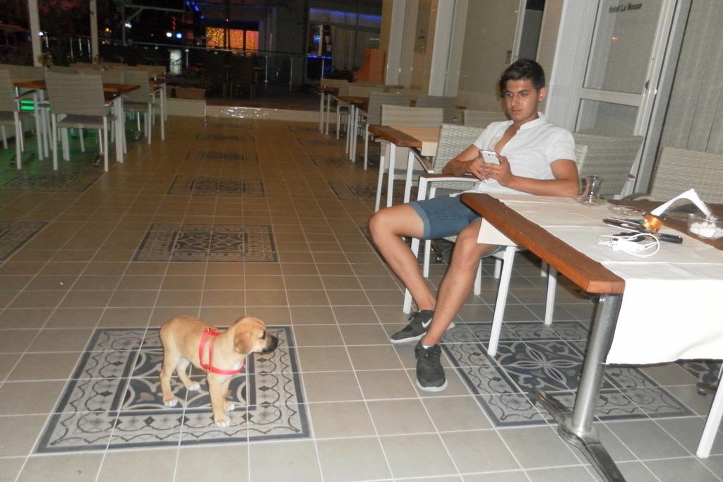 Hotel La Mosae Alanya Dış mekan fotoğraf