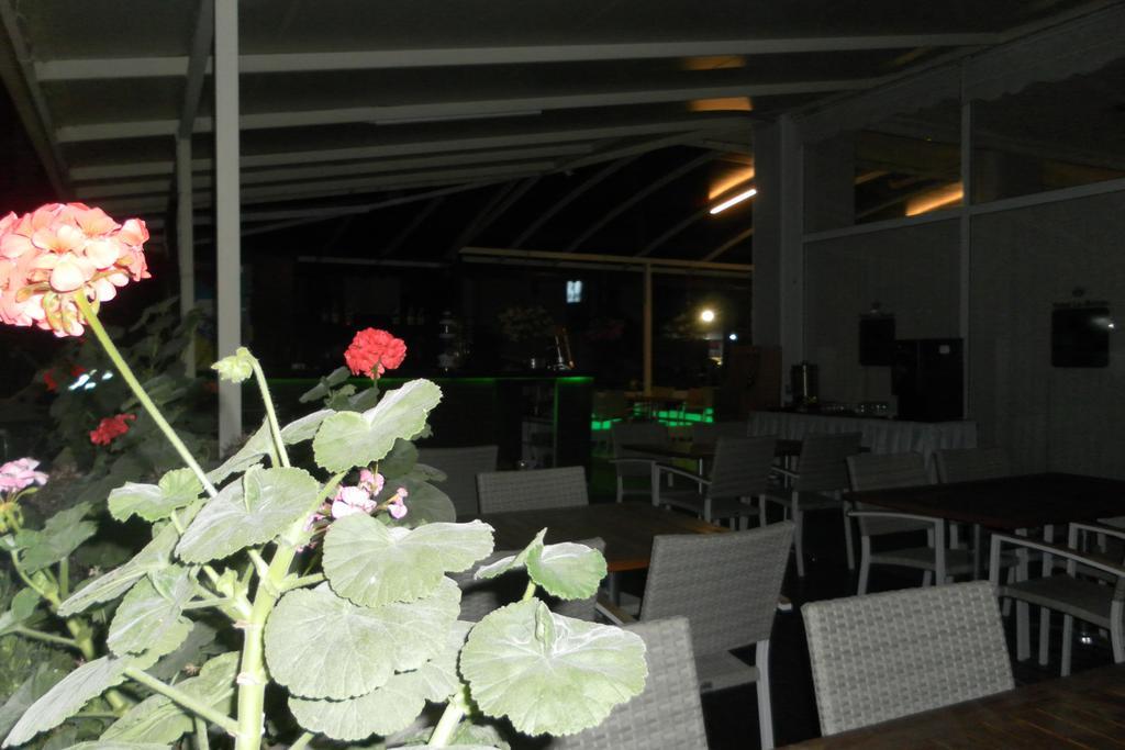 Hotel La Mosae Alanya Dış mekan fotoğraf